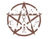 logo-vidente-seria